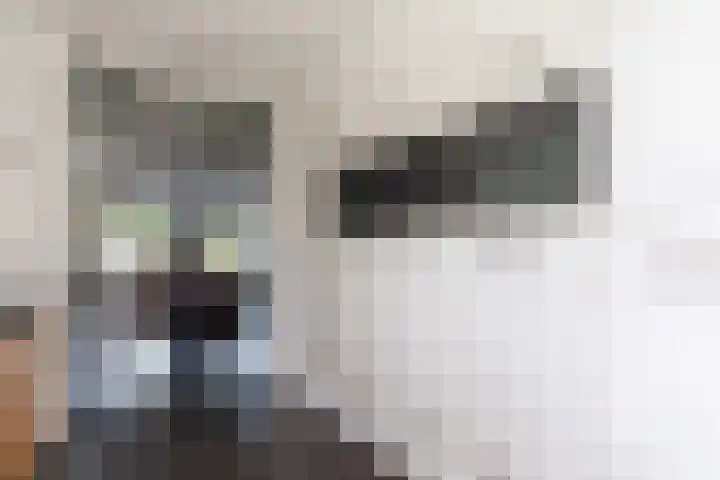 Assendelfterlaan 11 Barneveld thumbnail 18