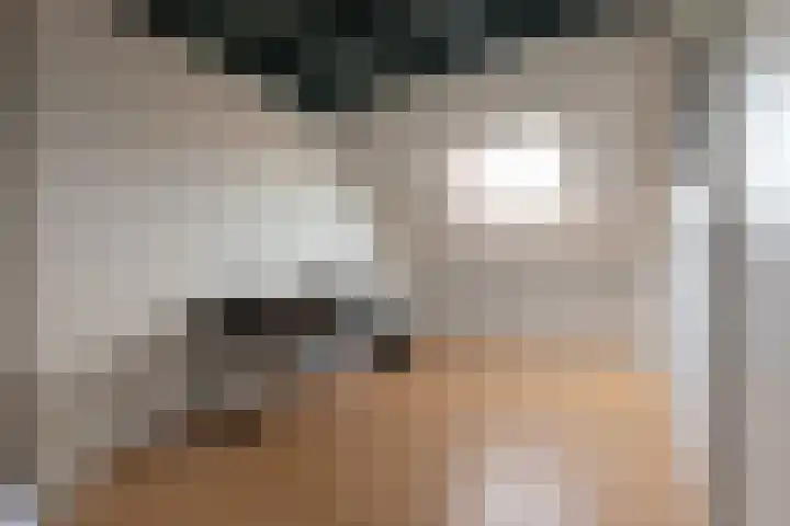 Assendelfterlaan 11 Barneveld thumbnail 36