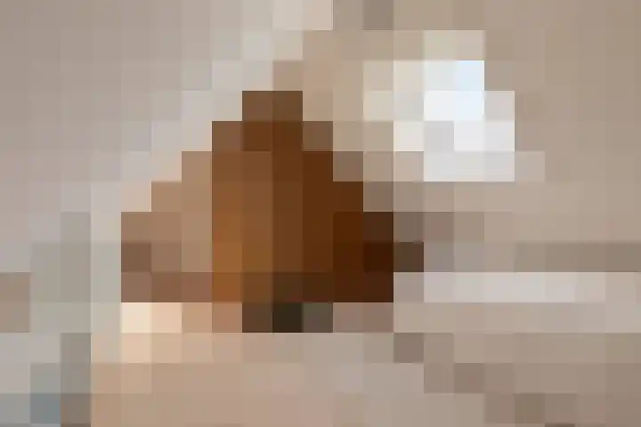 Assendelfterlaan 11 Barneveld thumbnail 39