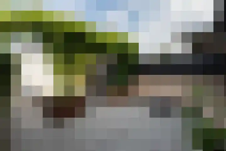 Assendelfterlaan 11 Barneveld thumbnail 40