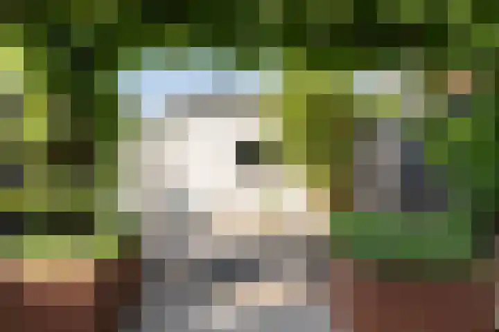 Assendelfterlaan 11 Barneveld thumbnail 41