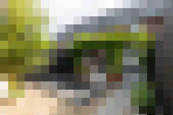 Assendelfterlaan 11 Barneveld thumbnail 44