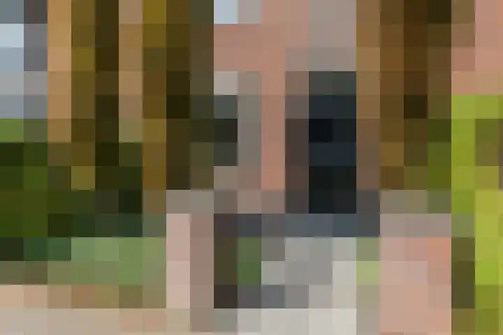 Assendelfterlaan 11 Barneveld thumbnail 8