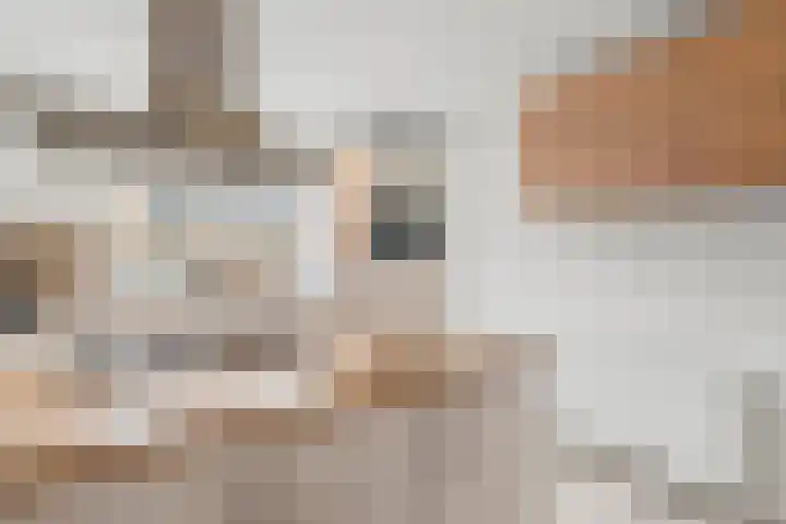 Assendelfterlaan 21 Barneveld thumbnail 13