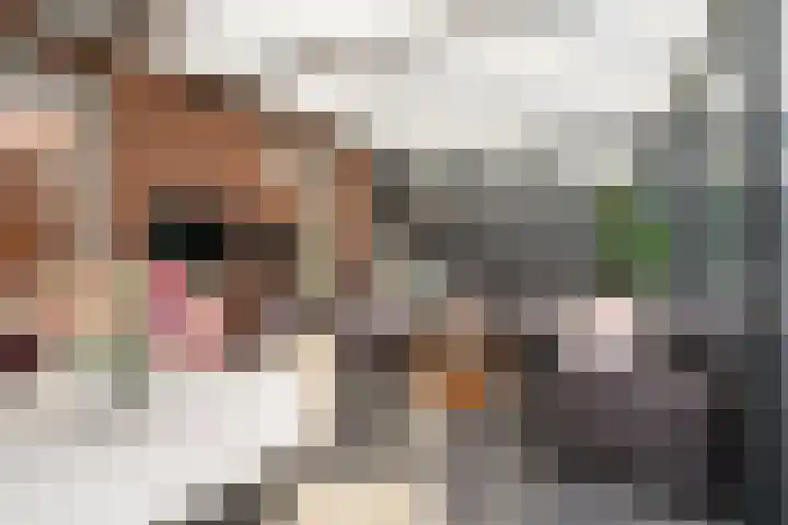 Assendelfterlaan 21 Barneveld thumbnail 17