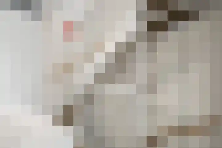 Assendelfterlaan 21 Barneveld thumbnail 32