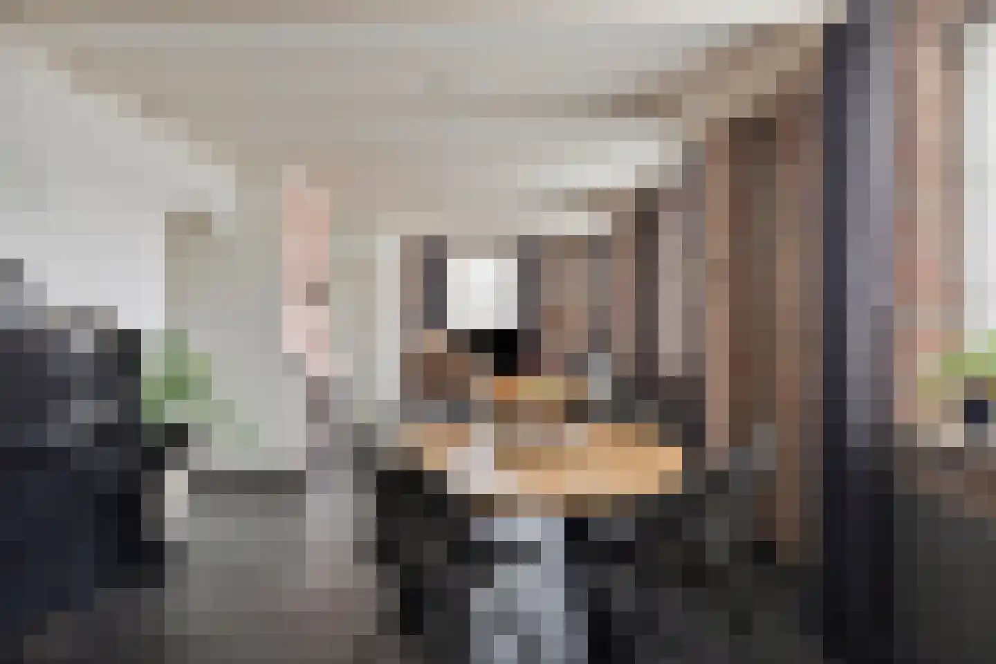 Assendelftseweg 2 Berlicum thumbnail 10