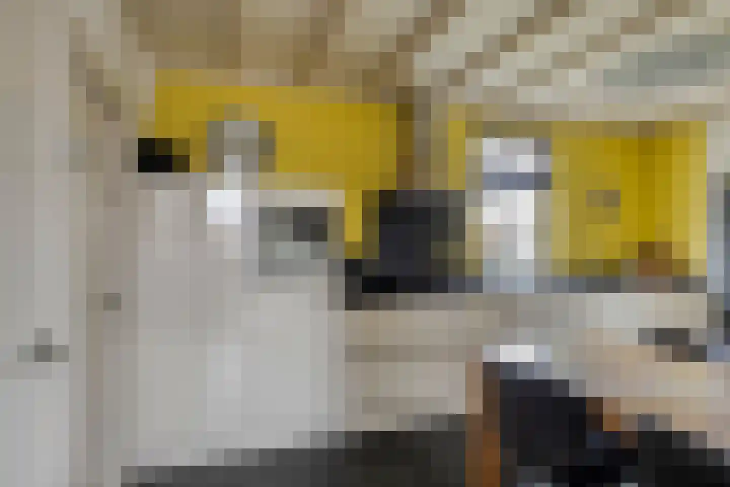 Assendelftseweg 2 Berlicum thumbnail 12