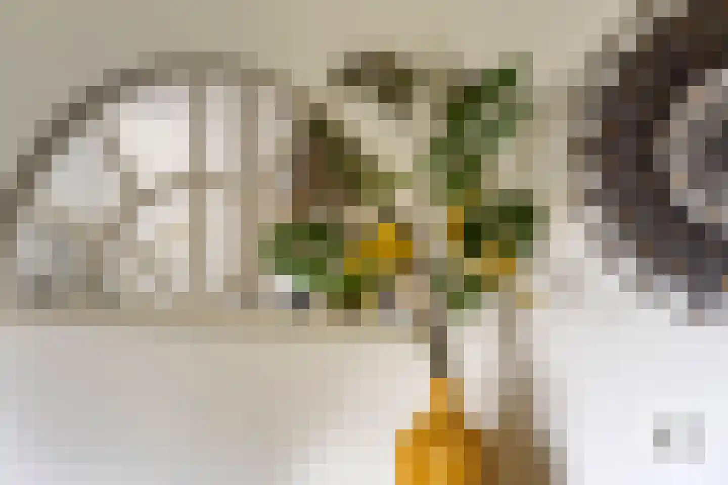 Assendelftseweg 2 Berlicum thumbnail 14