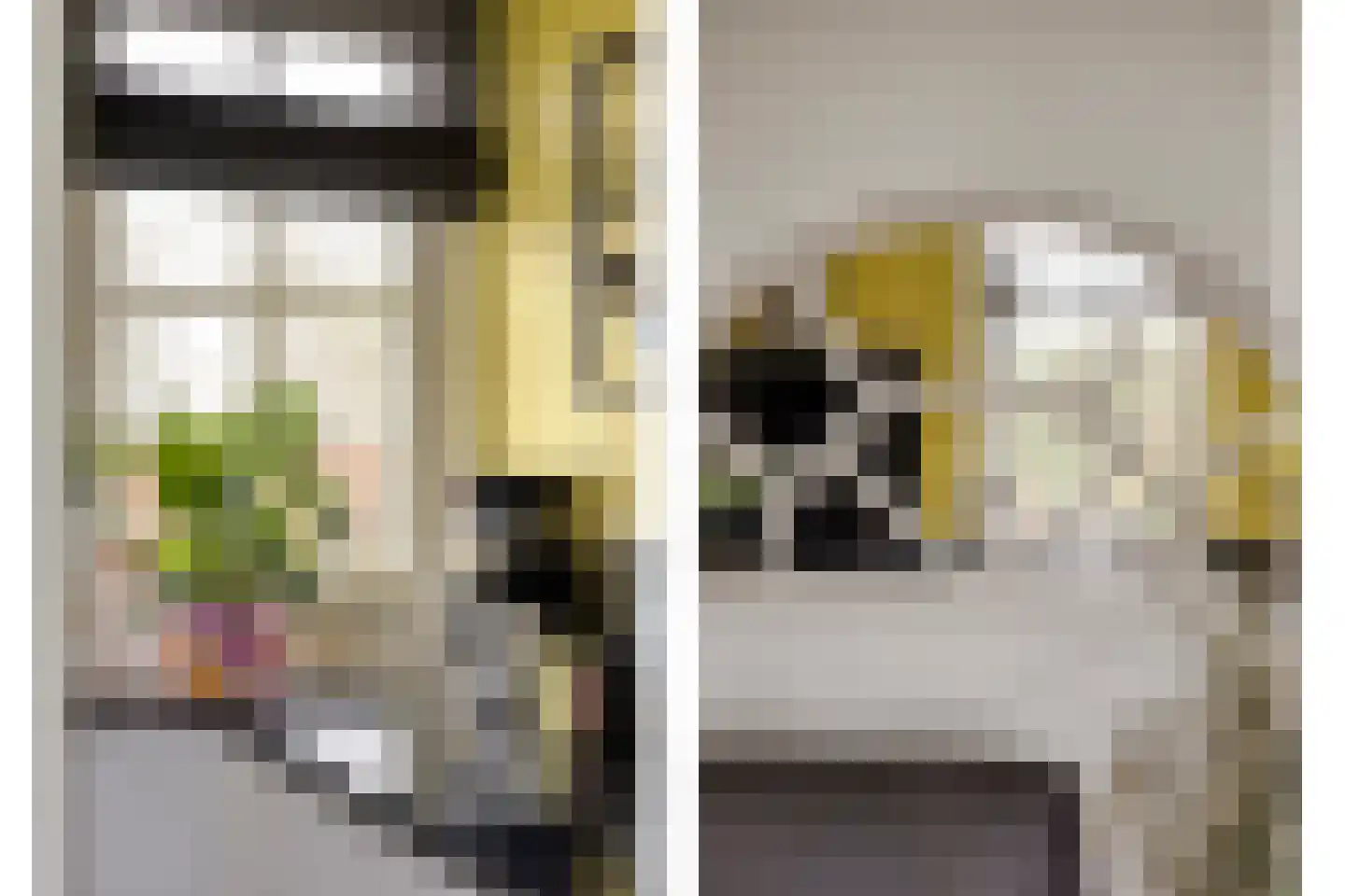 Assendelftseweg 2 Berlicum thumbnail 16