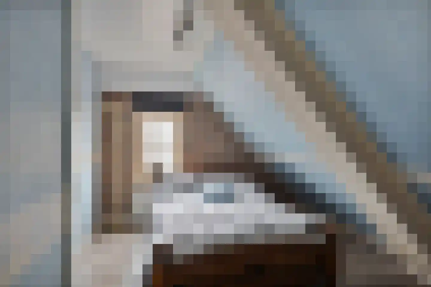 Assendelftseweg 2 Berlicum thumbnail 26