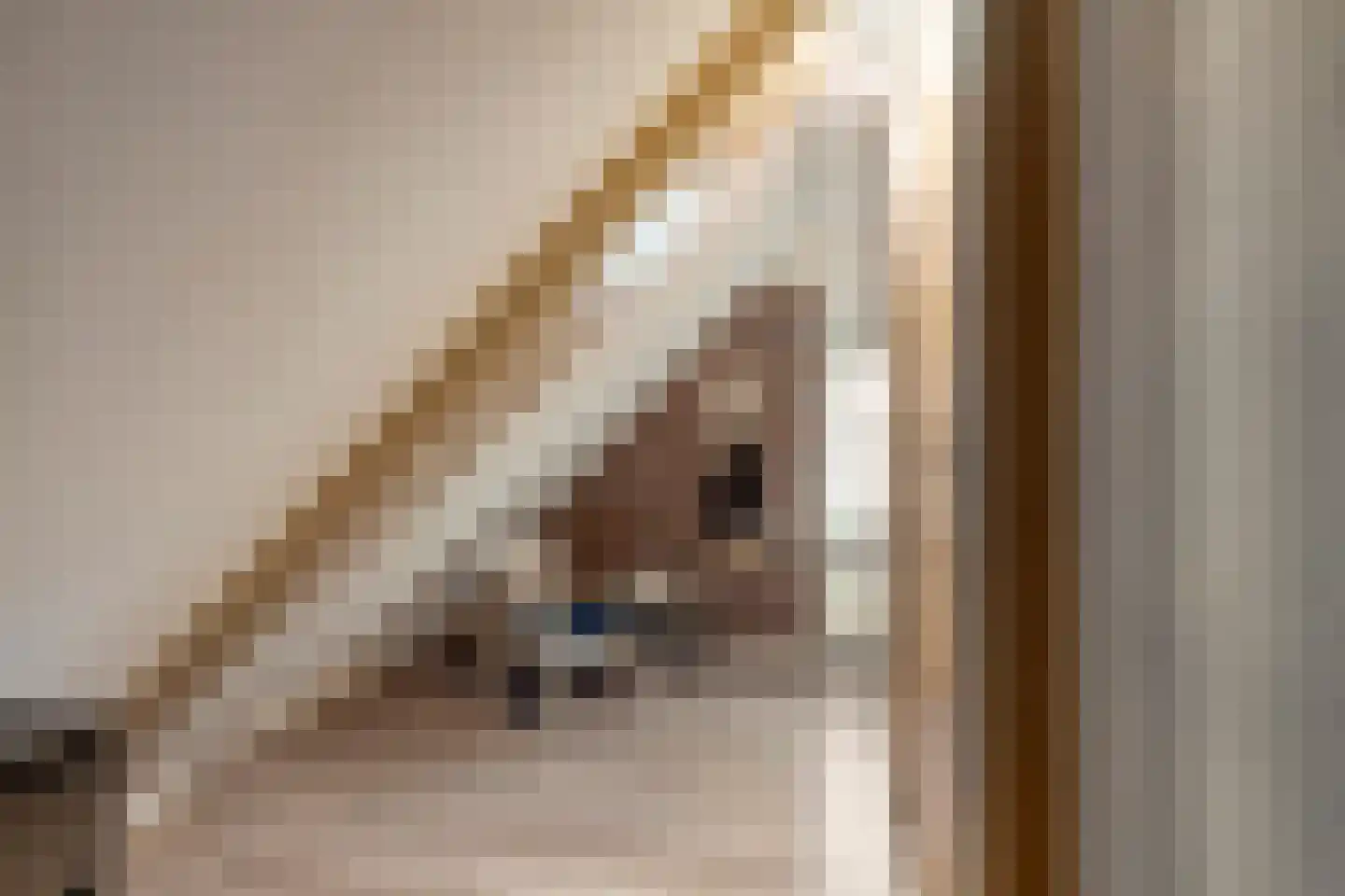 Assendelftseweg 2 Berlicum thumbnail 28