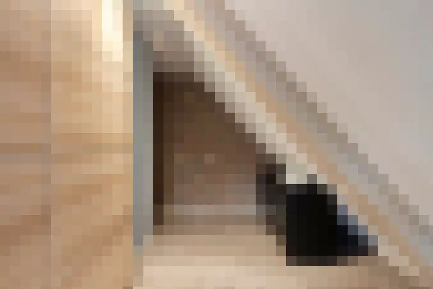 Assendelftseweg 2 Berlicum thumbnail 29