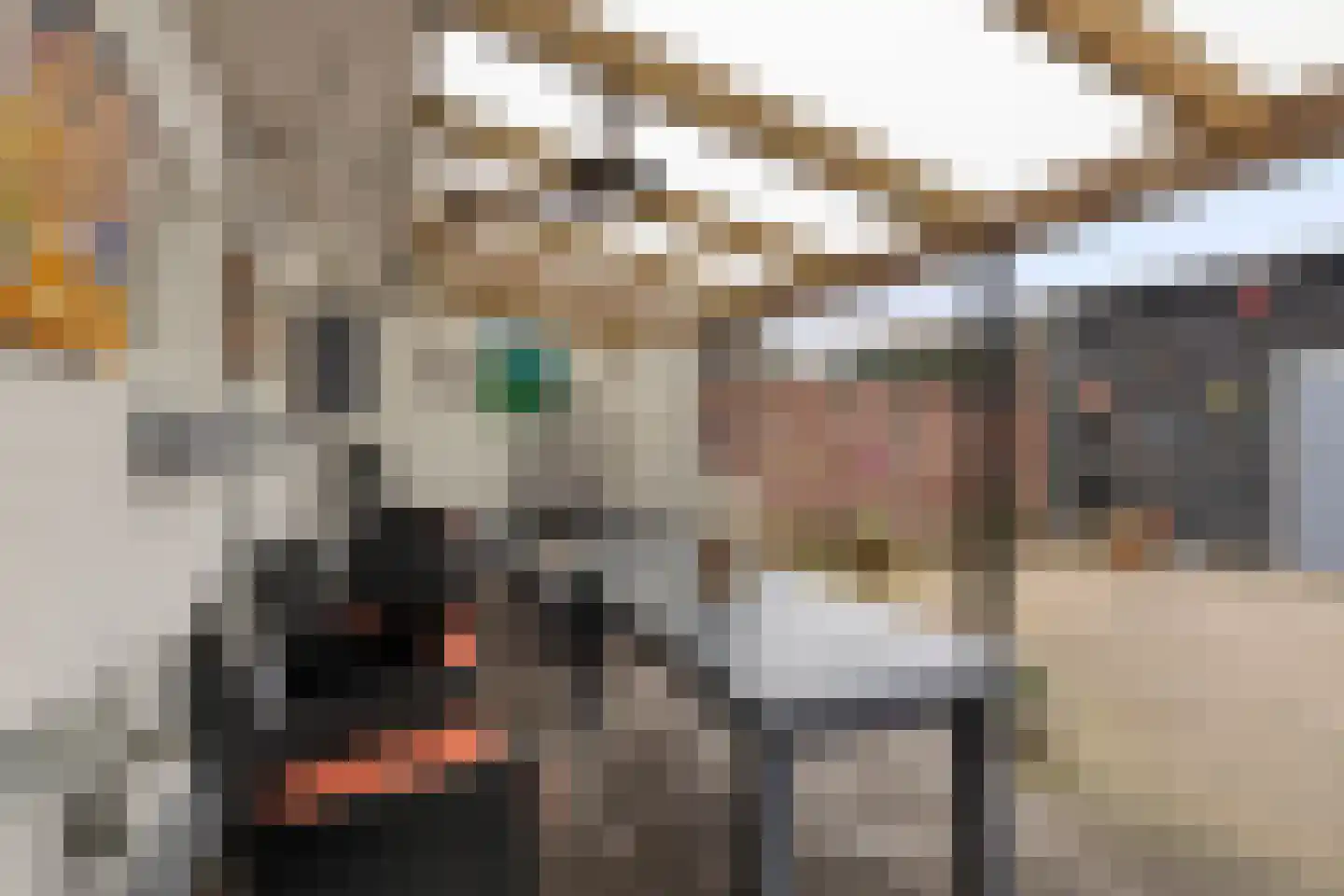 Assendelftseweg 2 Berlicum thumbnail 35