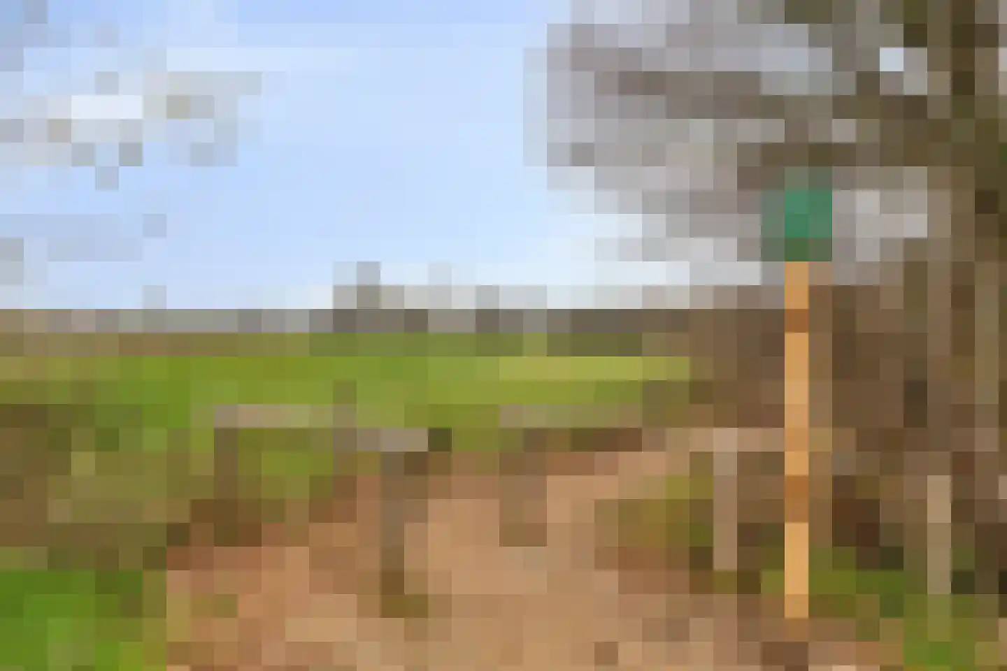 Assendelftseweg 2 Berlicum thumbnail 43