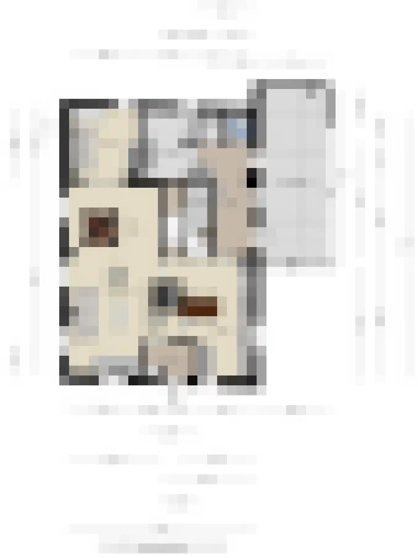 Assendelftseweg 2 Berlicum thumbnail 45