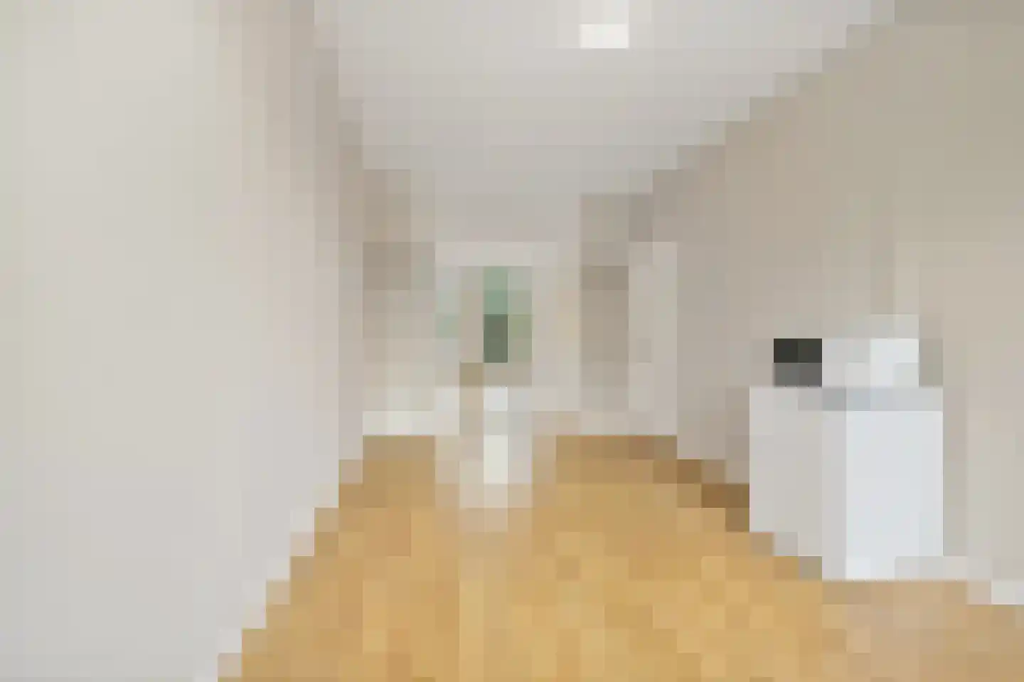 Assendelftstraat 12 B Den Haag thumbnail 18