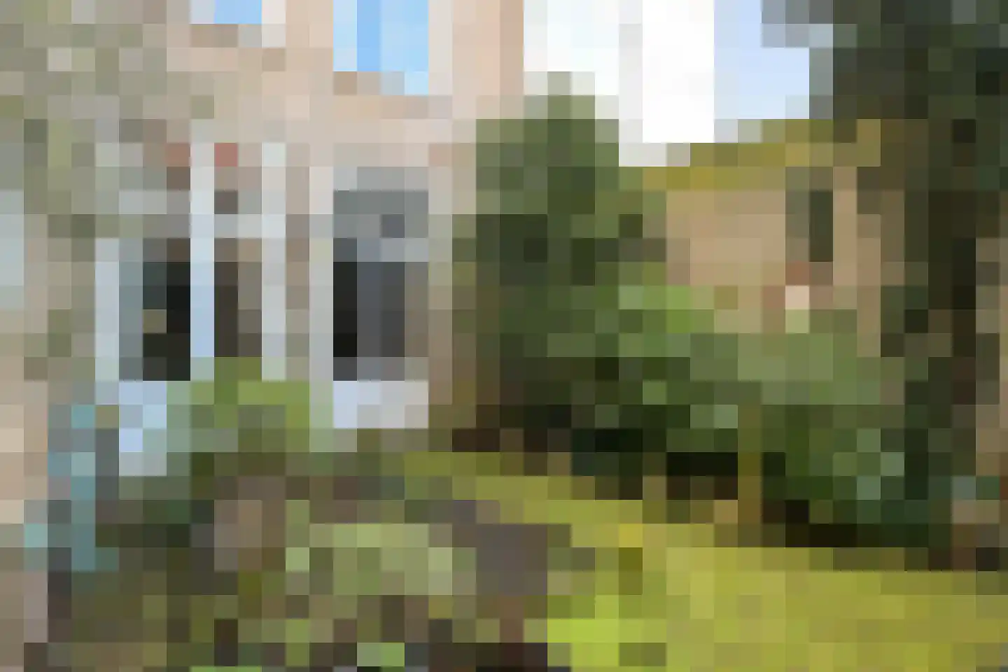 Assendelftstraat 14 Den Haag thumbnail 35
