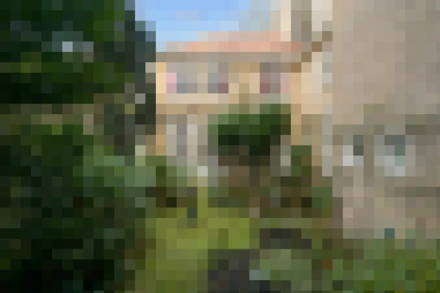 Assendelftstraat 14 Den Haag thumbnail 36