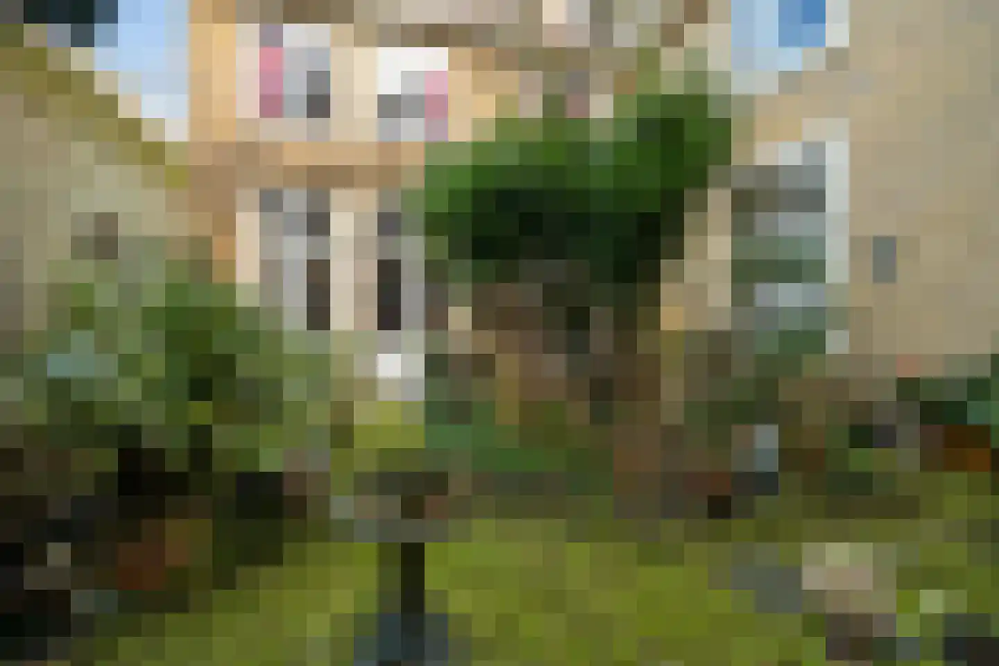 Assendelftstraat 14 Den Haag thumbnail 37