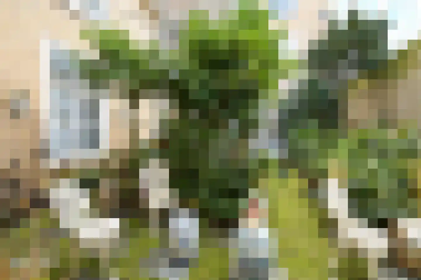 Assendelftstraat 14 Den Haag thumbnail 7