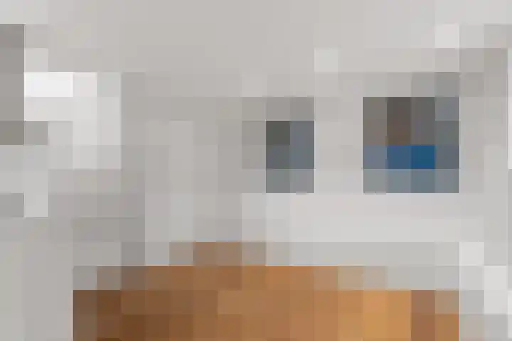 Assendelftstraat 2 1 Amsterdam thumbnail 10