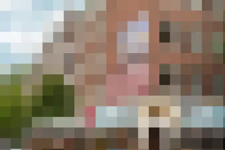 Assendelftstraat 2 1 Amsterdam thumbnail 23