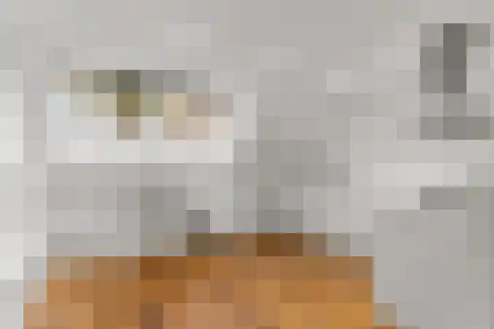 Assendelftstraat 2 1 Amsterdam thumbnail 5