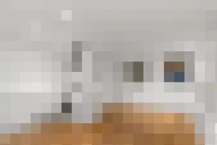 Assendelftstraat 2 1 Amsterdam thumbnail 8