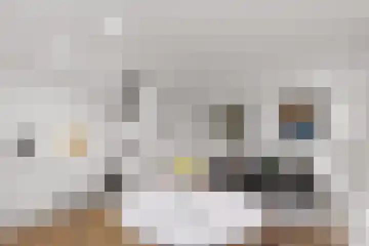 Assendelftstraat 2 1 Amsterdam thumbnail 9