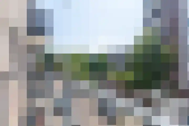 Assendelftstraat 25 Amsterdam thumbnail 10
