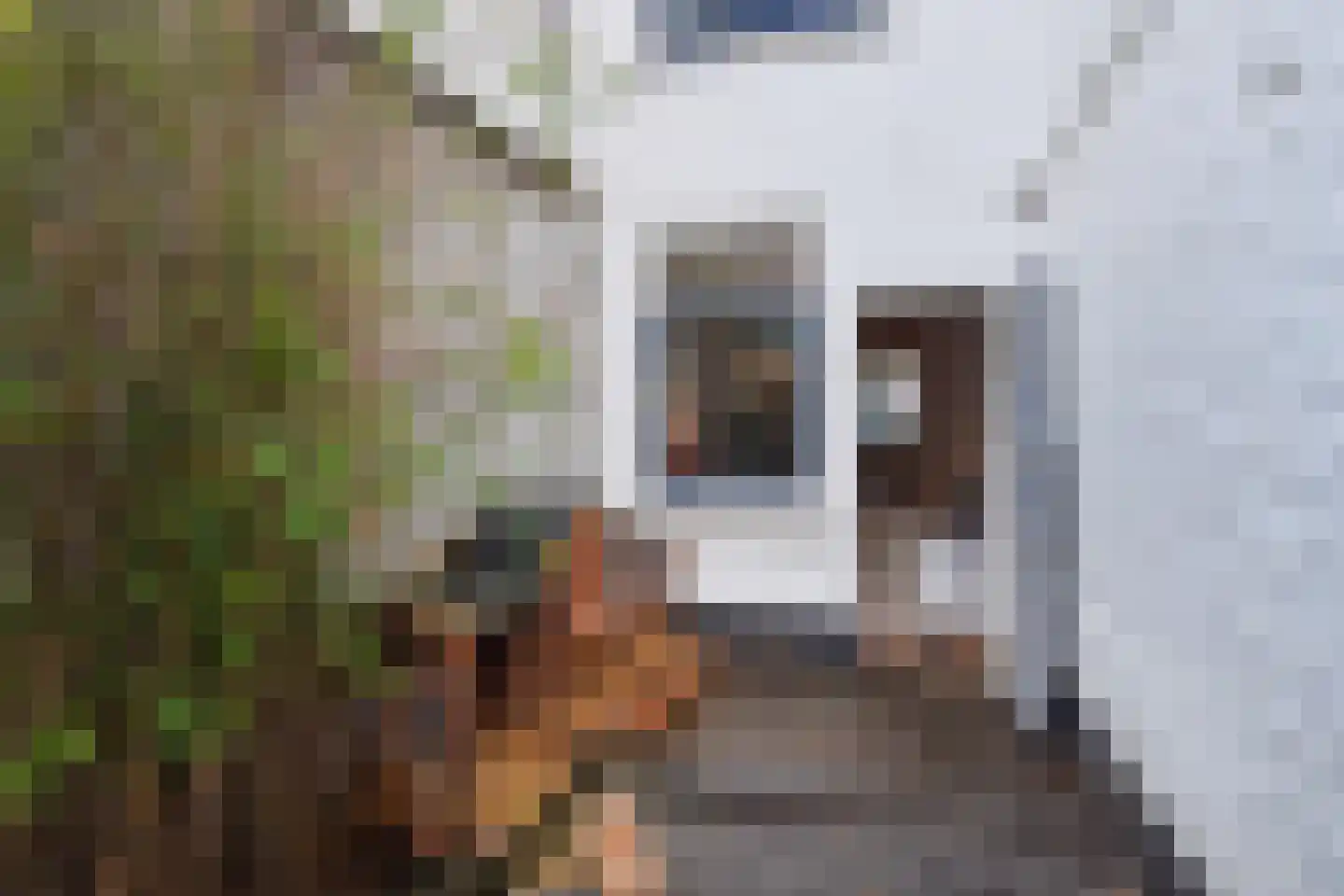 Assendelftstraat 35 Den Haag thumbnail 16