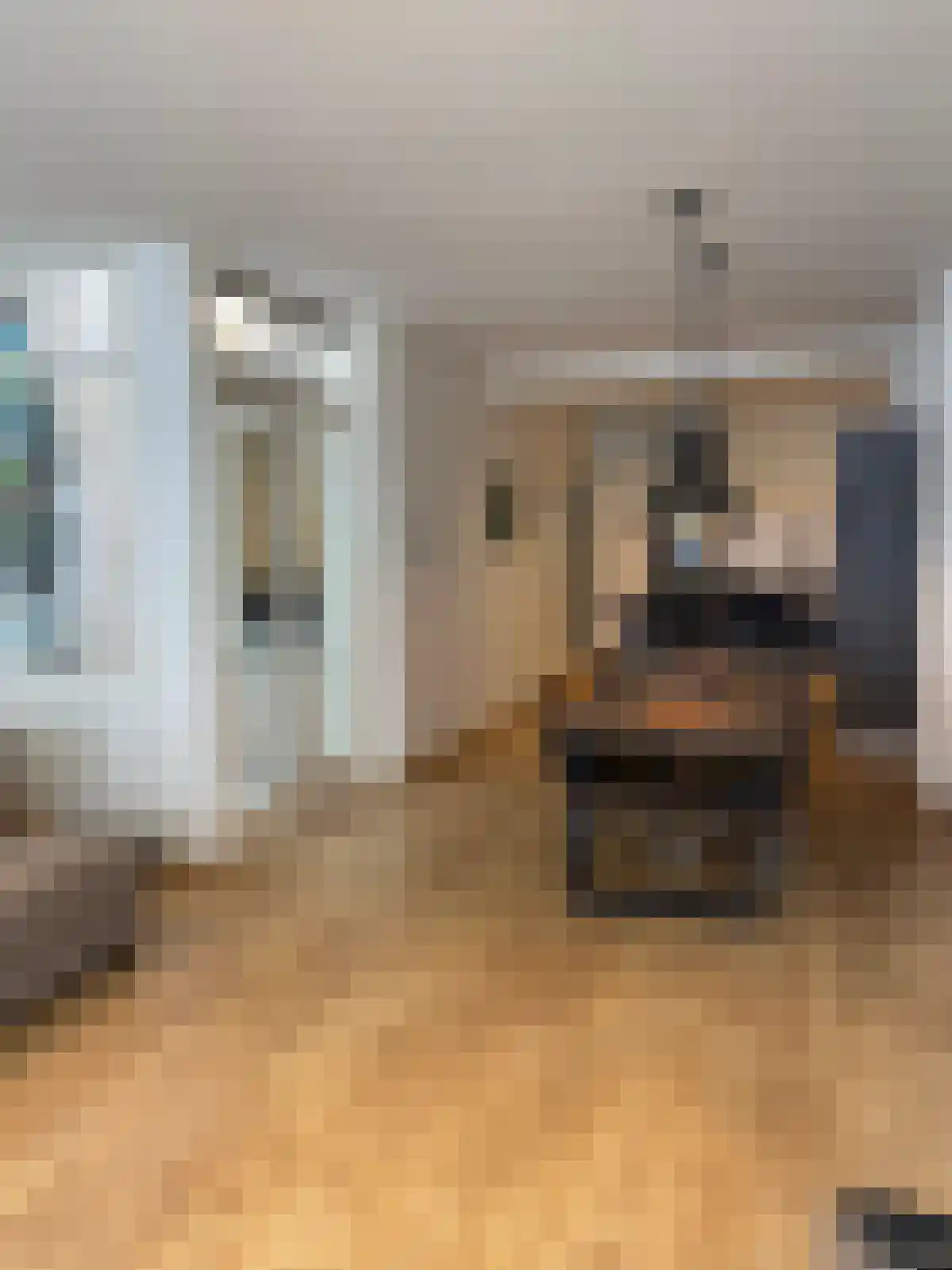 Assendelftstraat 38 Den Haag thumbnail 4