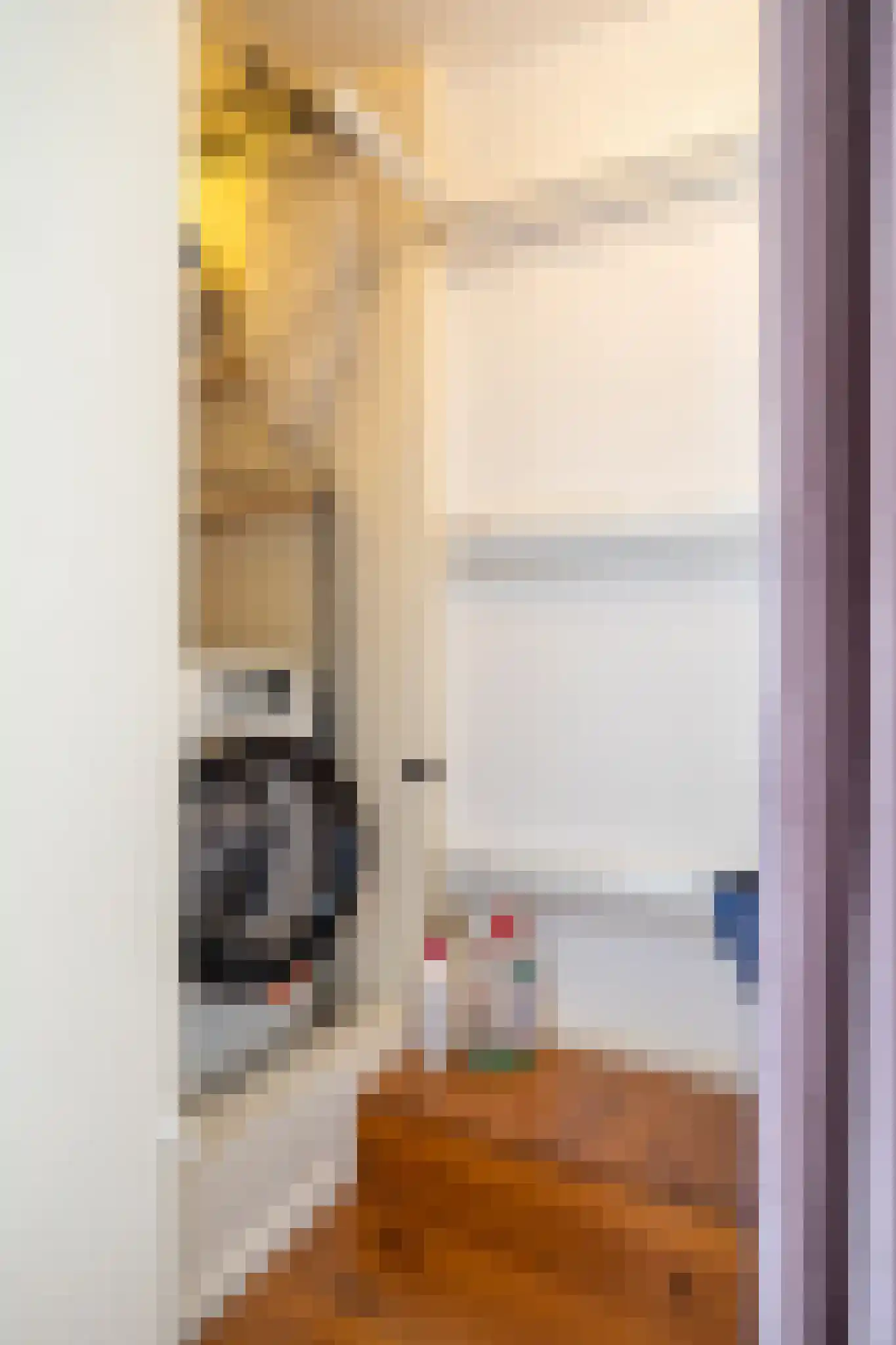 Assendelftstraat 43 Den Haag thumbnail 22