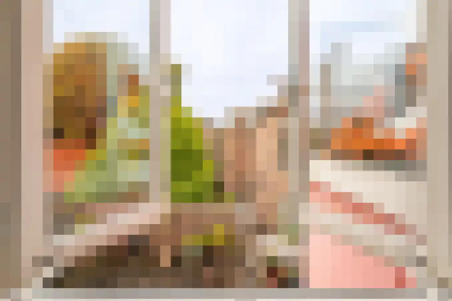 Assendelftstraat 43 Den Haag thumbnail 38