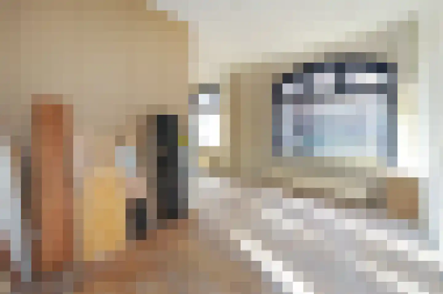 Assendelftstraat 54 Den Haag thumbnail 17