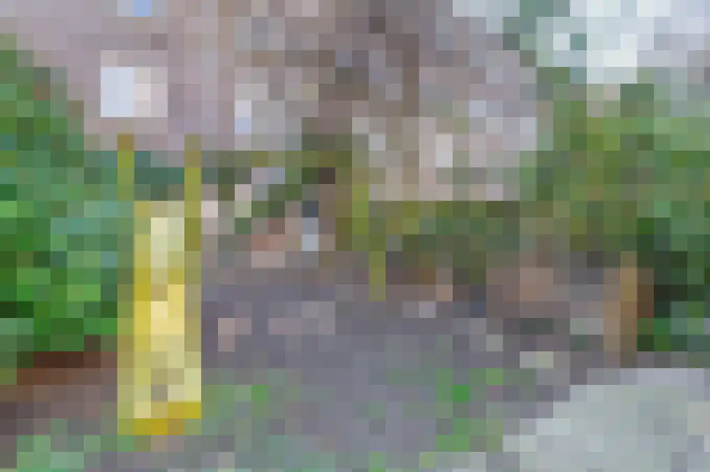 Assendelftstraat 79 Amsterdam thumbnail 32