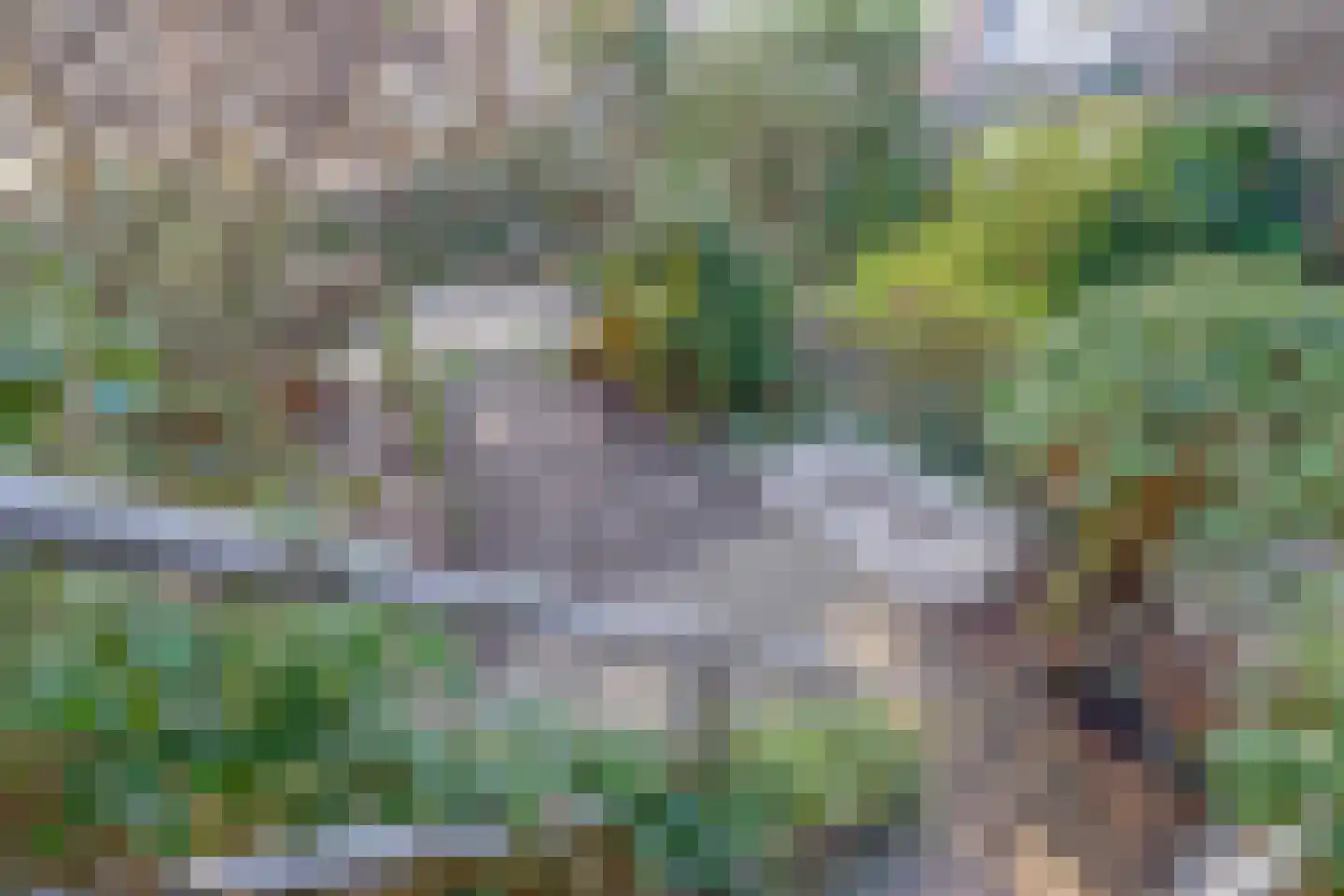 Assendelftstraat 79 Amsterdam thumbnail 4