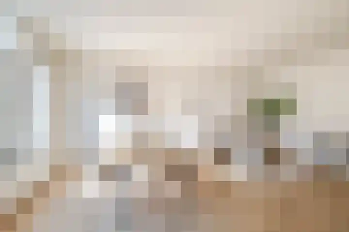 Assendelftstraat 79 Amsterdam thumbnail 6