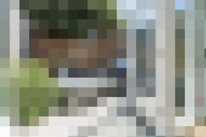 Assendelverstraat 11 Haarlem thumbnail 21