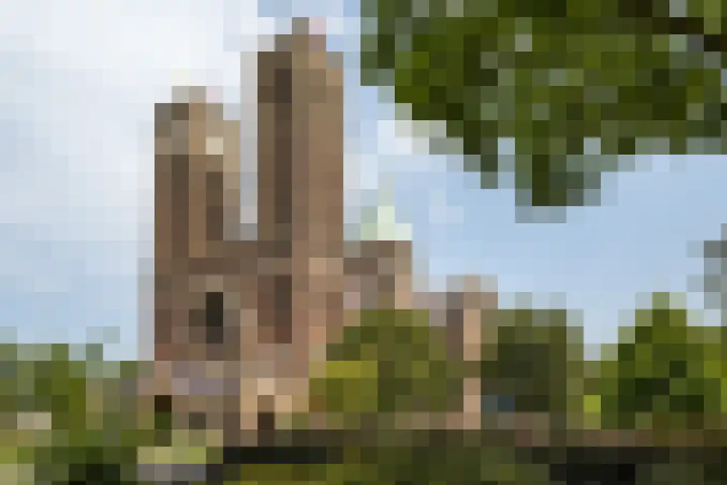 Assendelverstraat 45 Haarlem thumbnail 34
