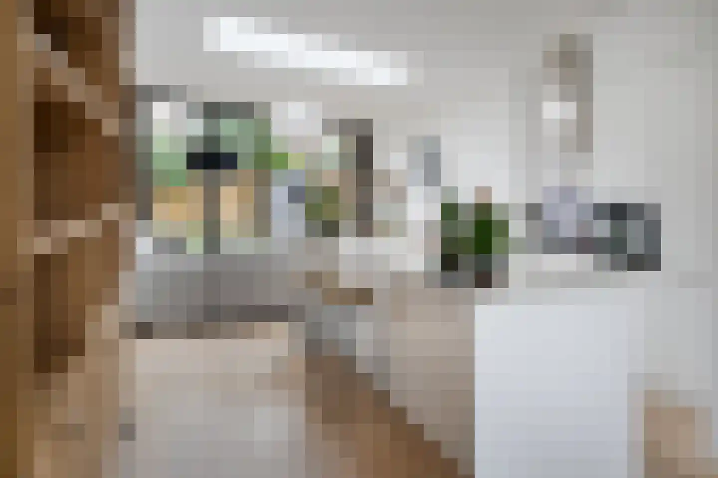 Assendelverstraat 45 Haarlem thumbnail 5
