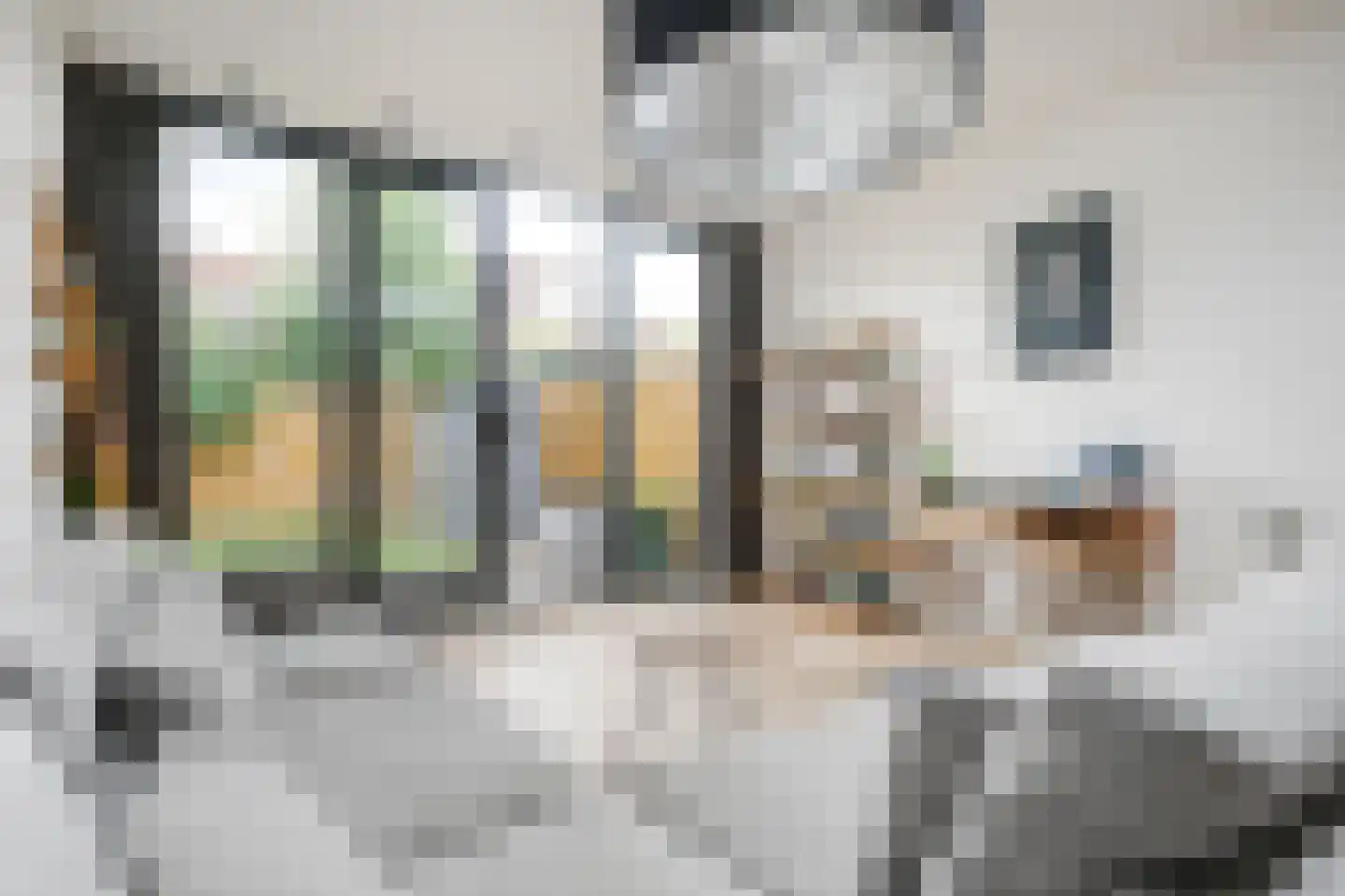 Assendelverstraat 45 Haarlem thumbnail 7