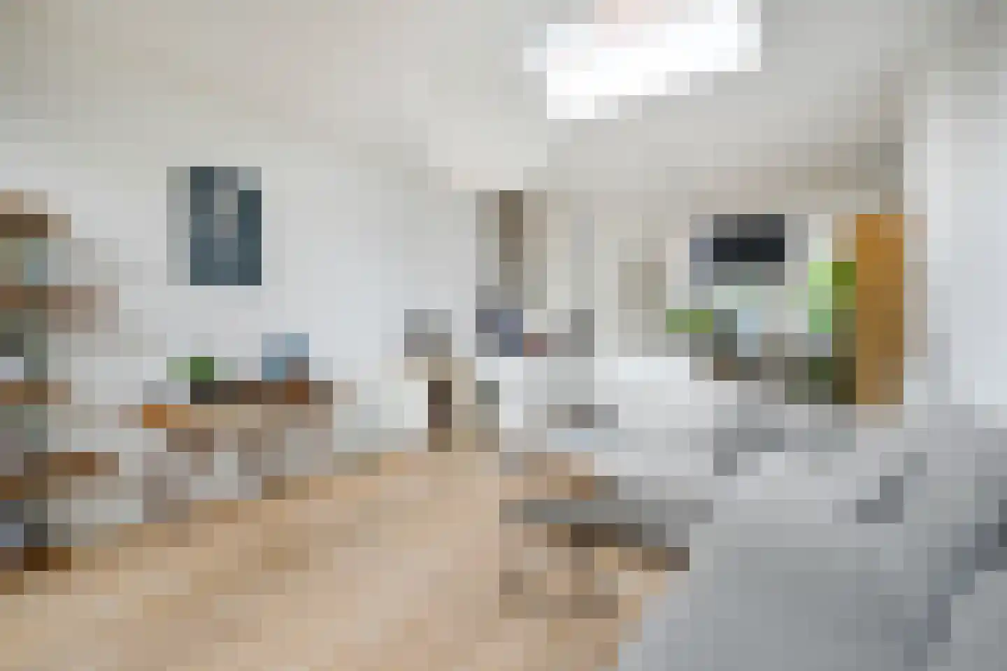 Assendelverstraat 45 Haarlem thumbnail 8