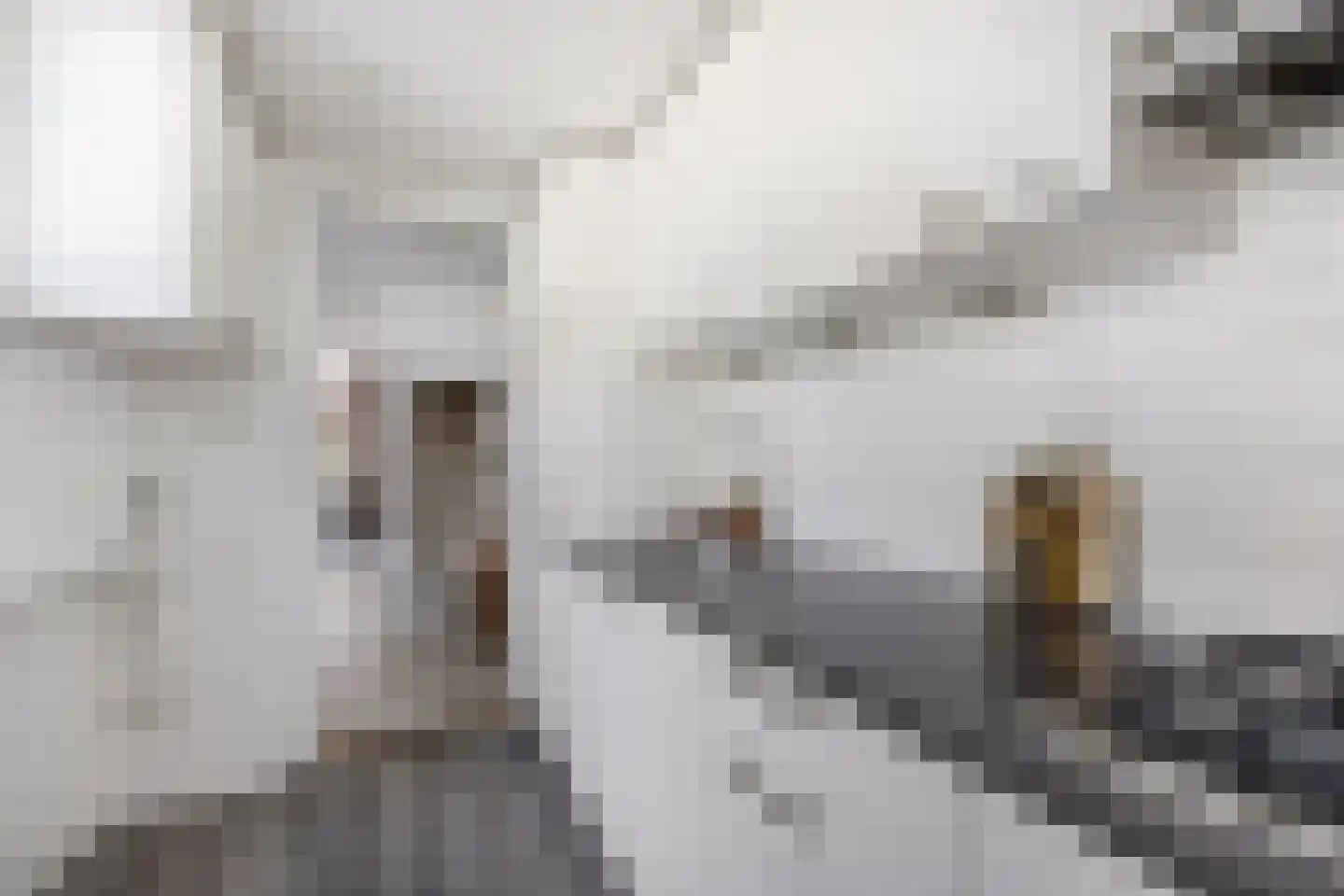 Assendelverstraat 56 Haarlem thumbnail 10