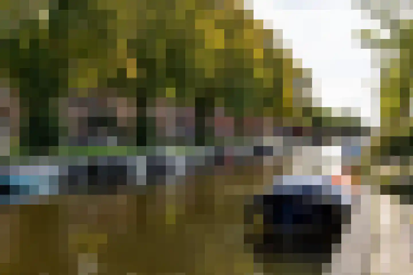 Assendelverstraat 56 Haarlem thumbnail 25