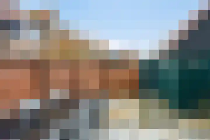 Assendorperdijk 178 Zwolle thumbnail 32