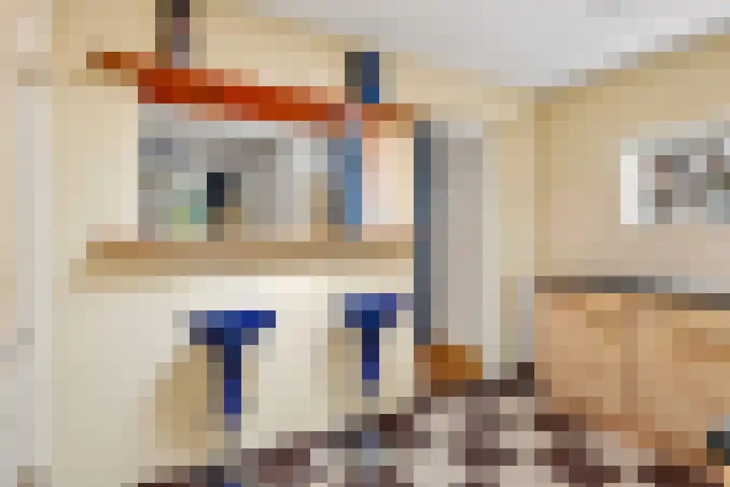 Assendorperdijk 22 Zwolle thumbnail 12