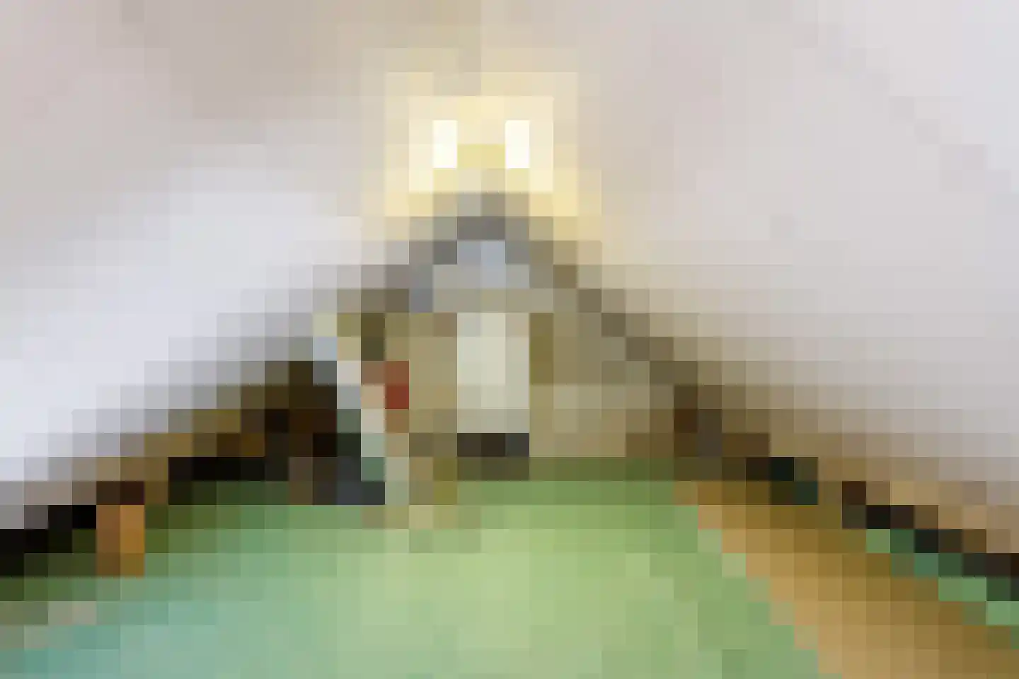Assendorperdijk 22 Zwolle thumbnail 23
