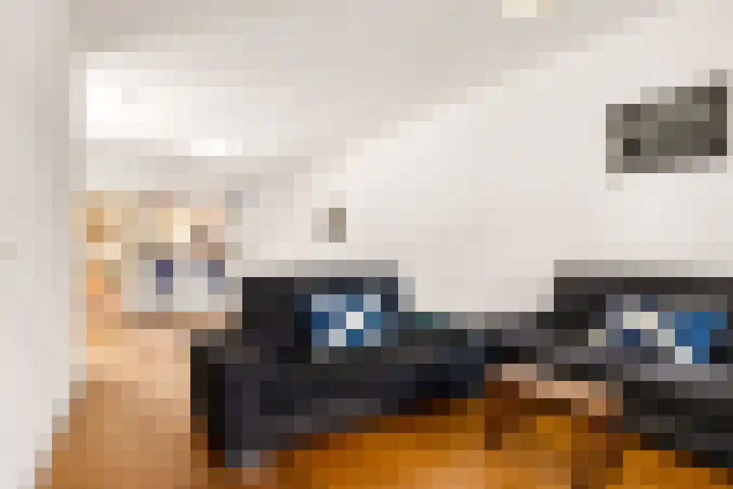 Assendorperdijk 22 Zwolle thumbnail 5